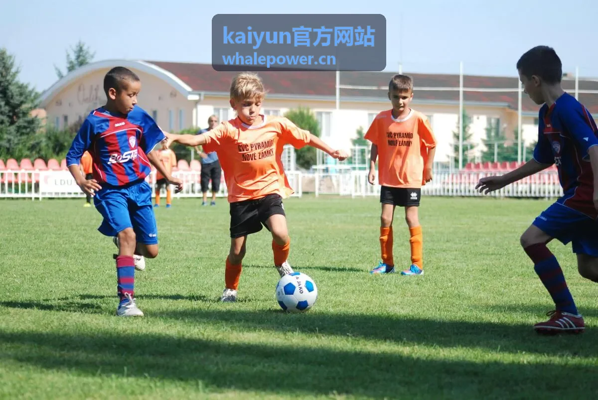 kaiyun官方网站赛事资讯与数据解读内容展示
